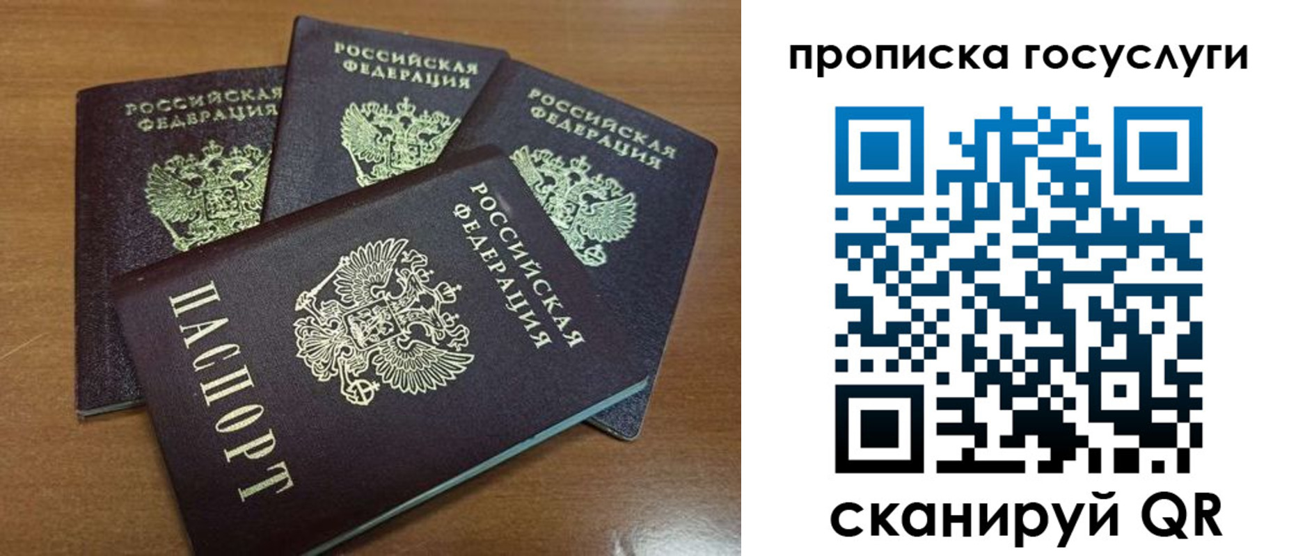 прописка 2025 в Камешково
